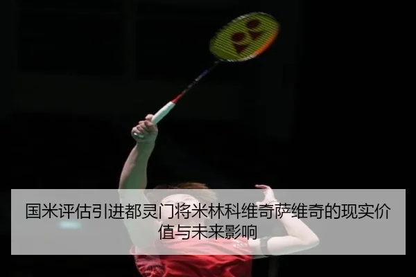 国米评估引进都灵门将米林科维奇萨维奇的现实价值与未来影响